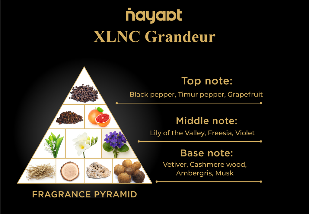 Nayaat XLNC GRANDEUR 200ml Eau de Parfum